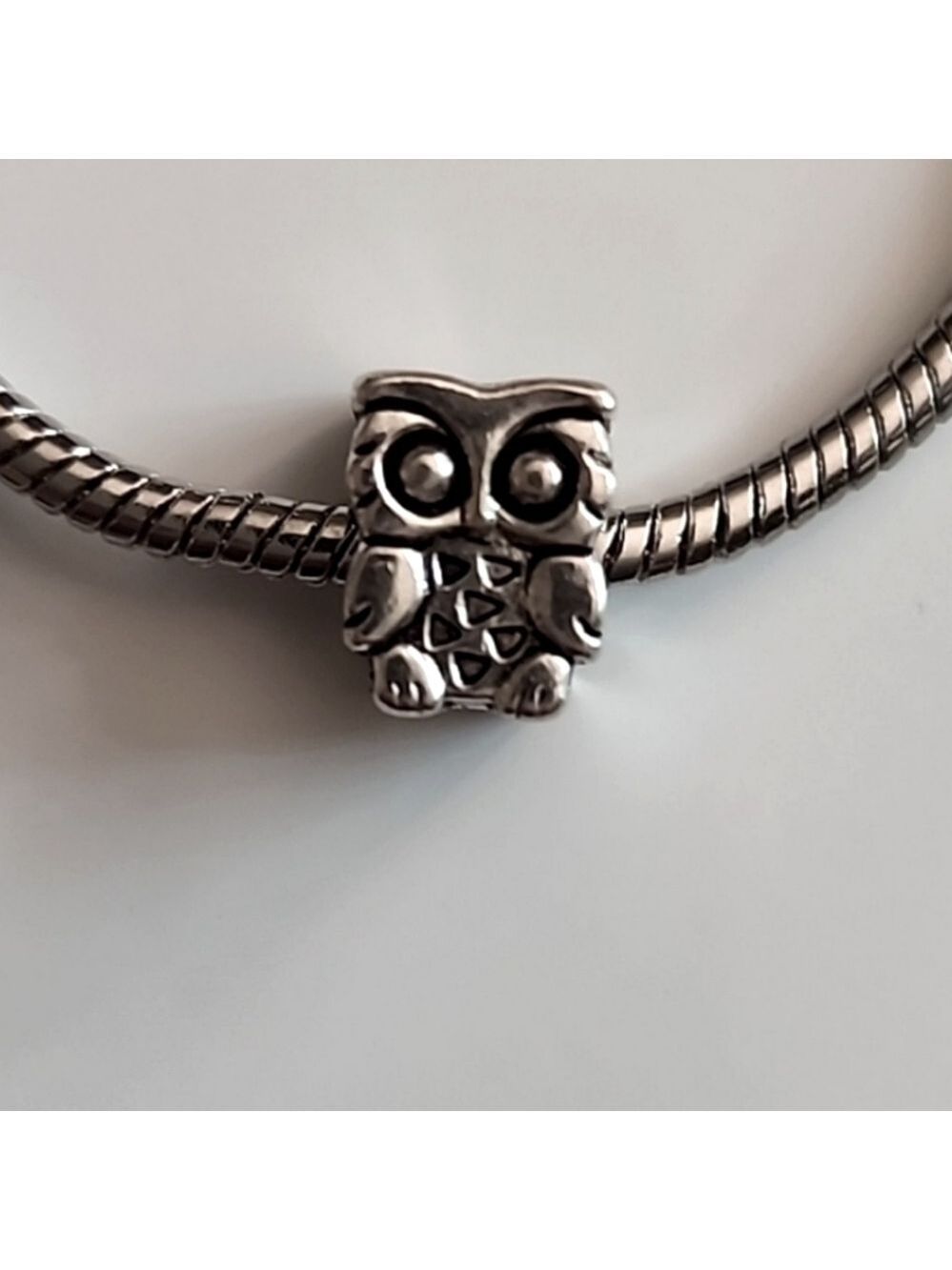 SMART Eyeglass Owl  Bracelet Charm Compatable With Pandora
